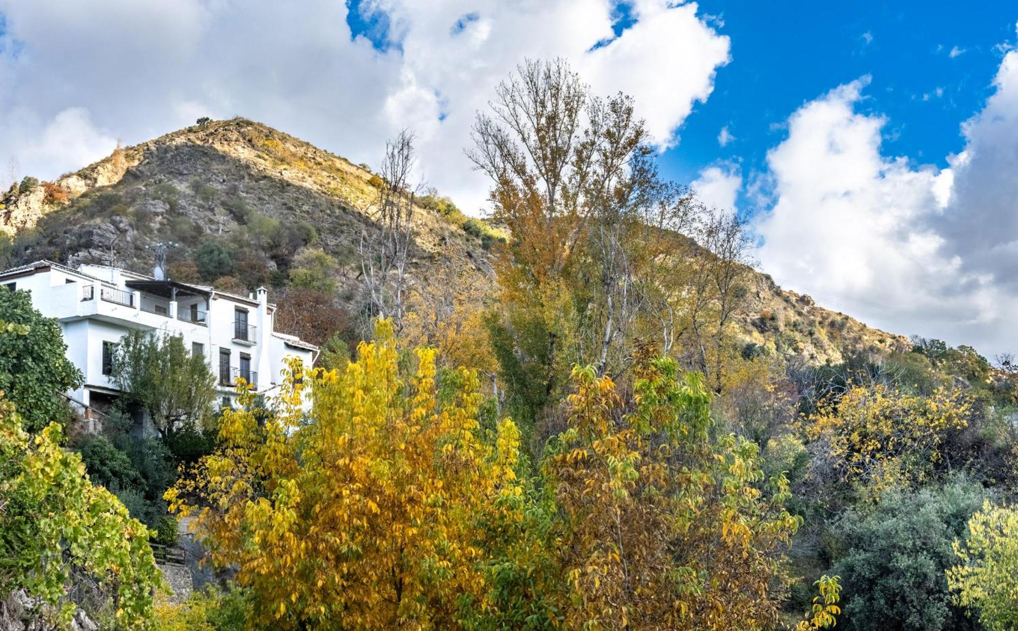 Casa Rural Arroyo De La Greda 구에하르 시에라 외부 사진