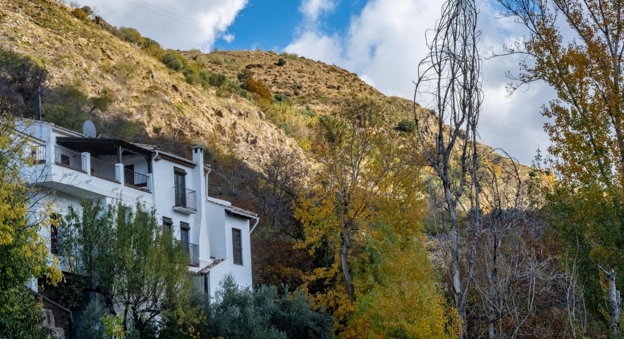 Casa Rural Arroyo De La Greda 구에하르 시에라 외부 사진