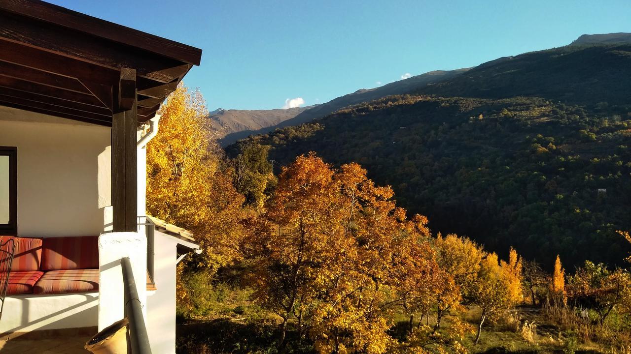 Casa Rural Arroyo De La Greda 구에하르 시에라 외부 사진